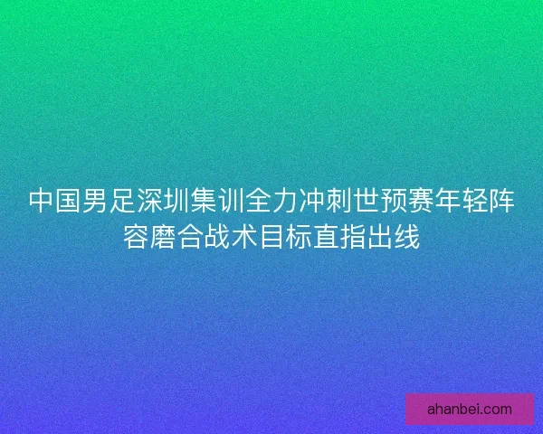 中国男足深圳集训全力冲刺世预赛年轻阵容磨合战术目标直指出线